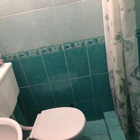 Guest house Приватна Садиба Ромен
