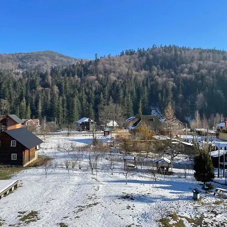 приватна ромен Микуличин